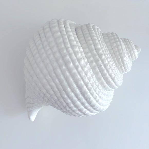 EUC Torre & Tagus Large White Resin Conch Shell Decor Accent - Picture 3 of 11